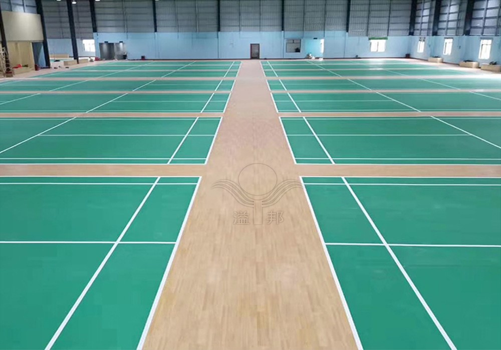 羽毛球館建設